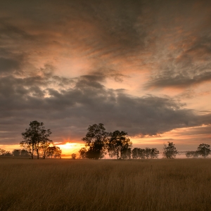 葡萄美酒猎人谷 HUNTER VALLEY