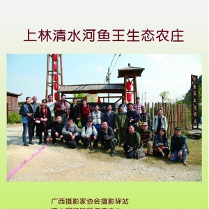 摄影驿站——上林清水河鱼王生态农庄